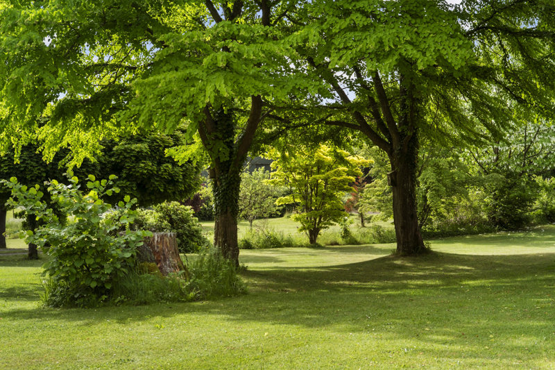 Property image number 3