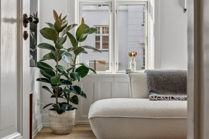 Property image number 6