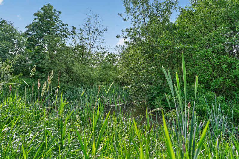 Property image number 5