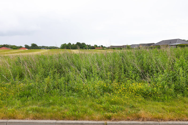 Property image number 10