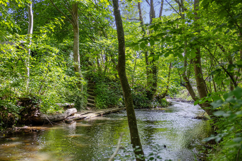Property image number 2
