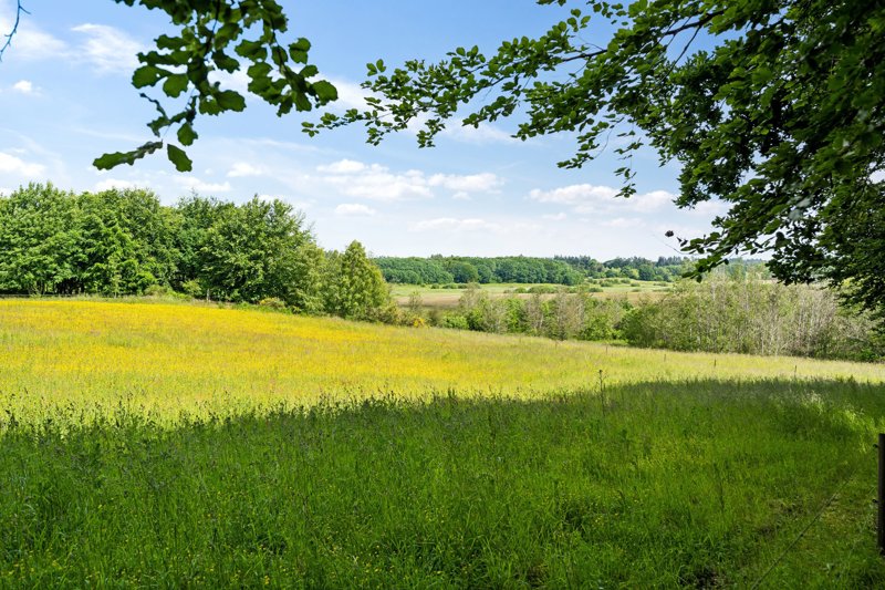 Property image number 3