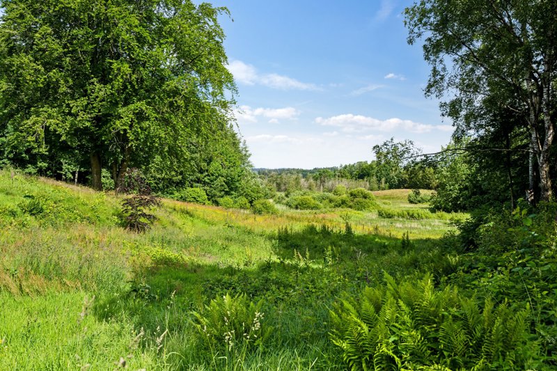 Property image number 2
