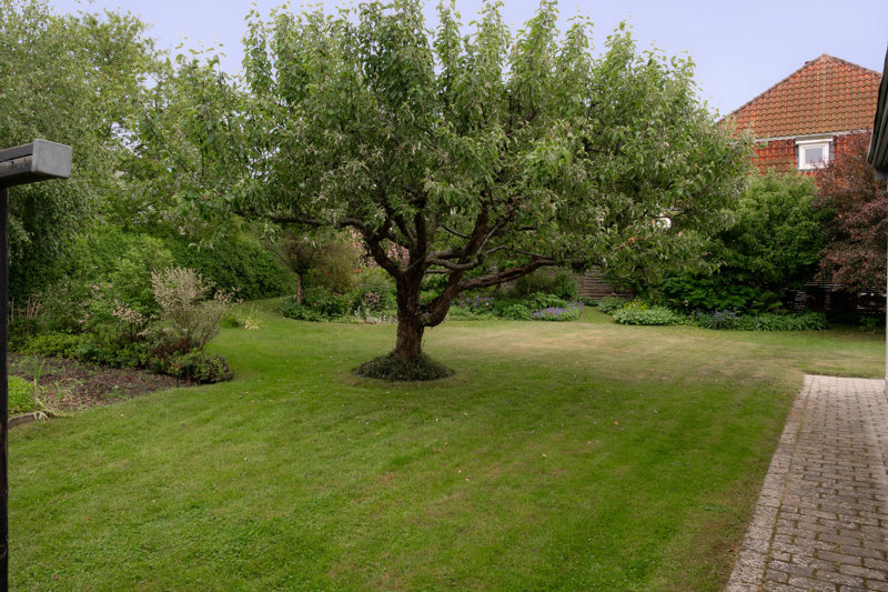 Property image number 4