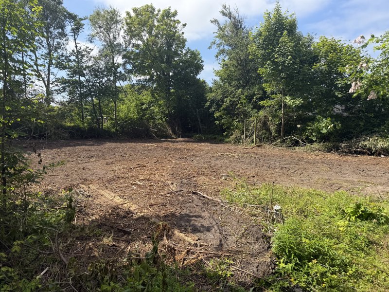 Property image number 6