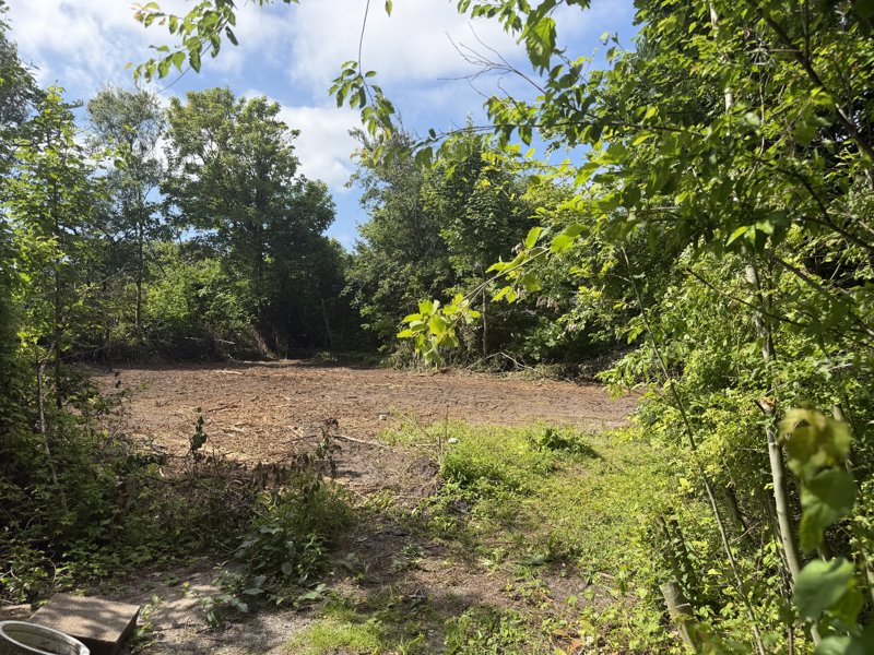 Property image number 5