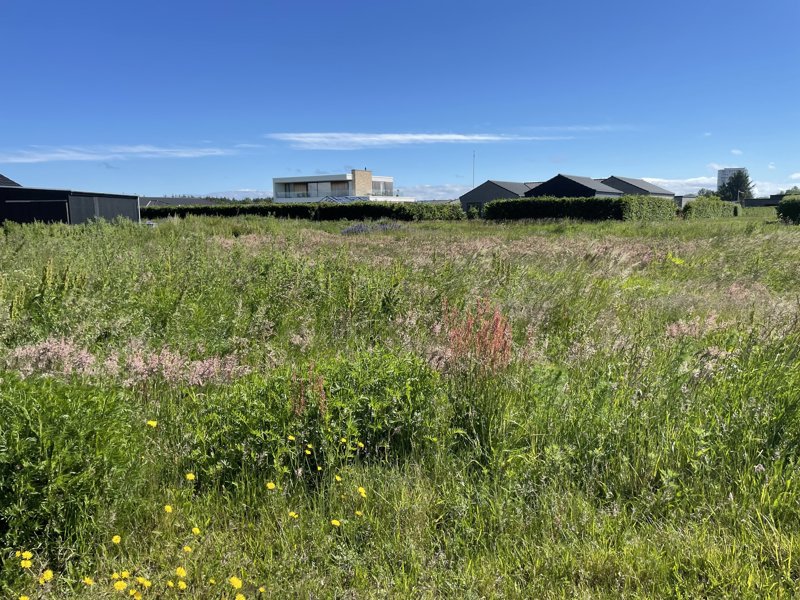 Property image number 3