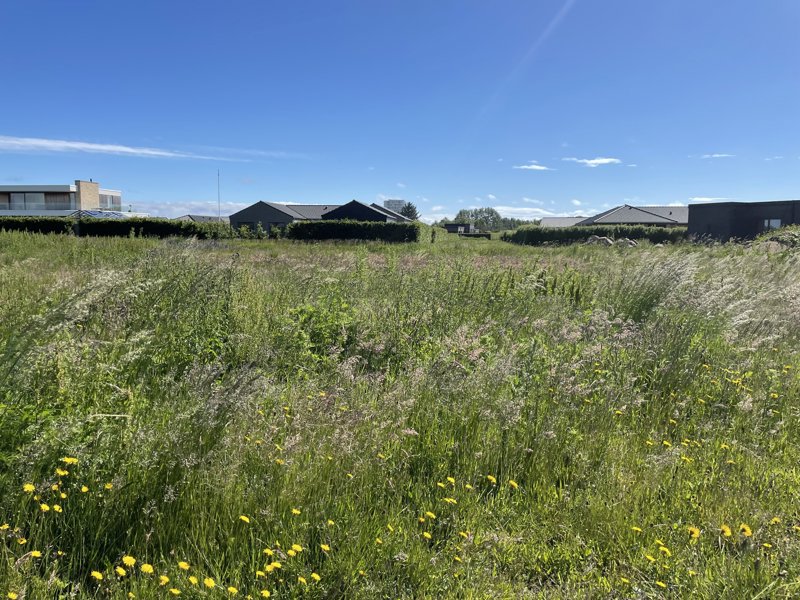 Property image number 5
