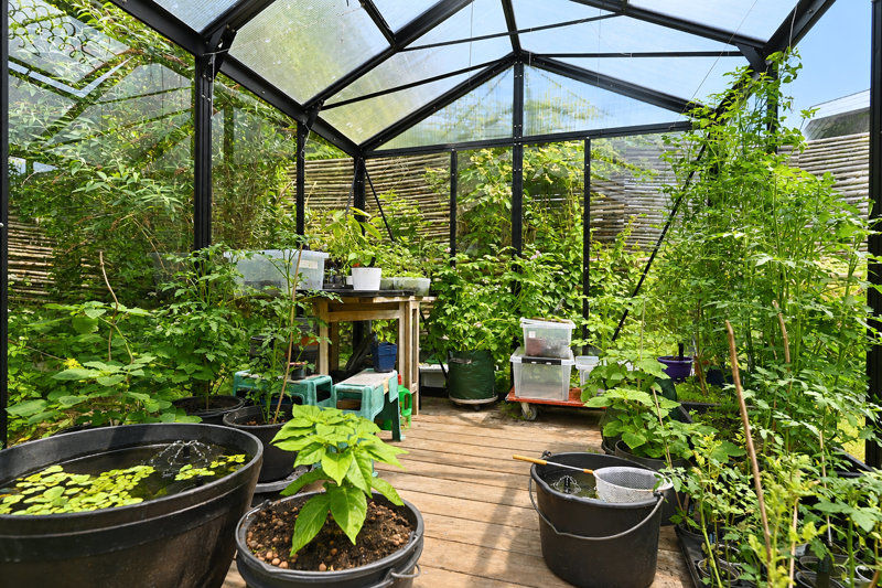 Property image number 6