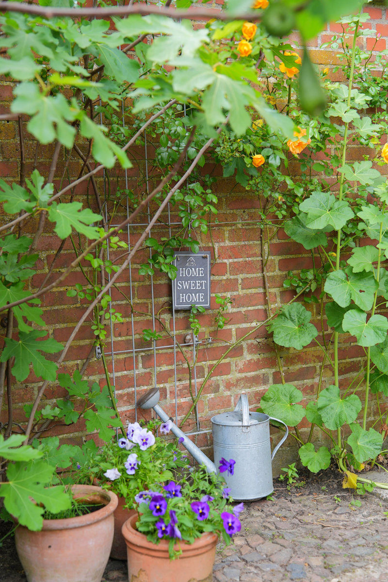 Property image number 9