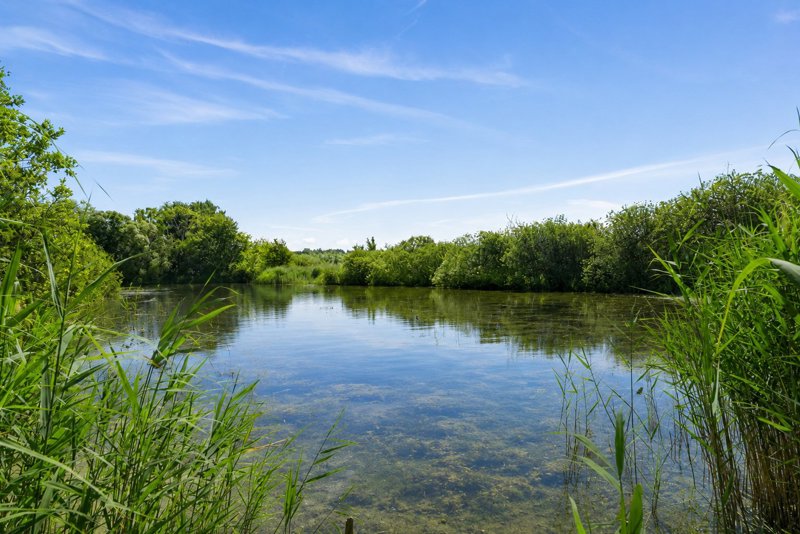Property image number 3