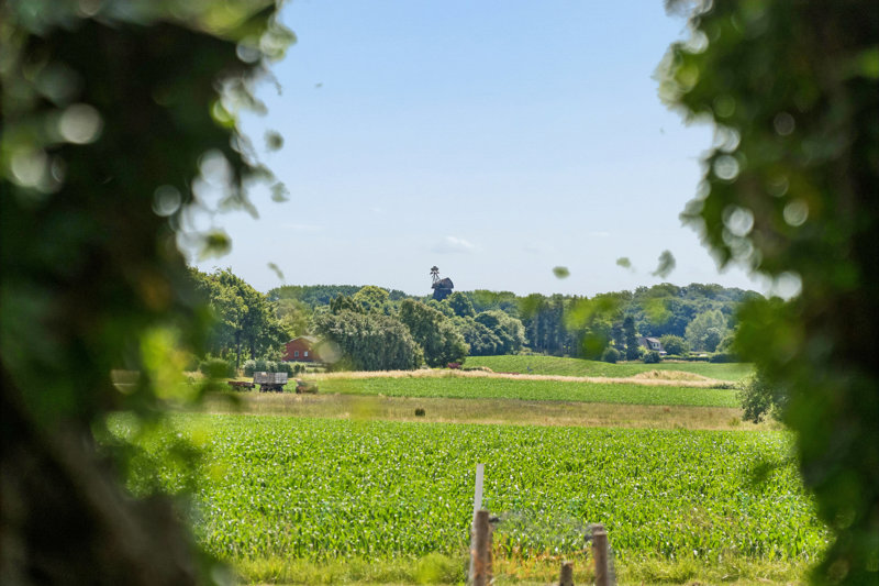 Property image number 3