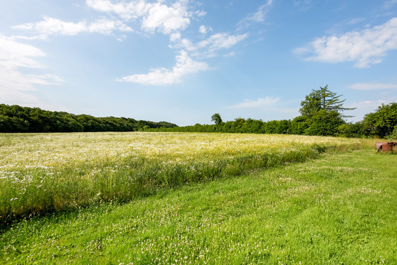 Property image number 5