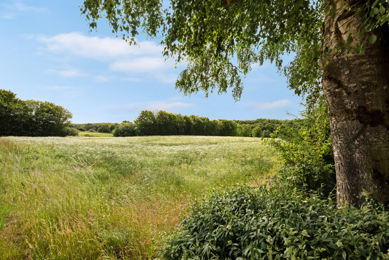Property image number 4