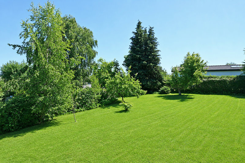 Property image number 4