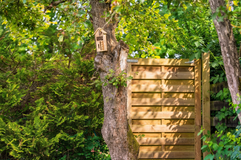 Property image number 6