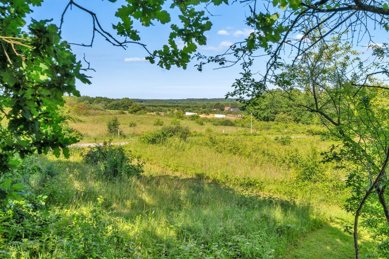 Property image number 5