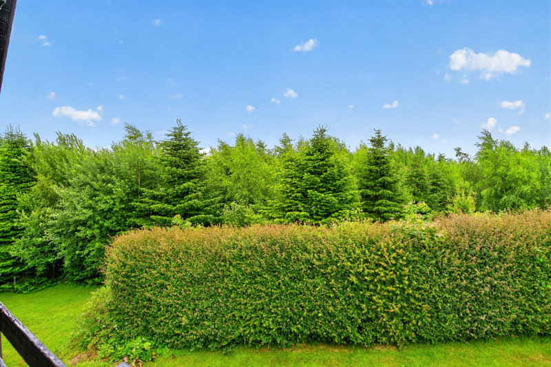Property image number 6