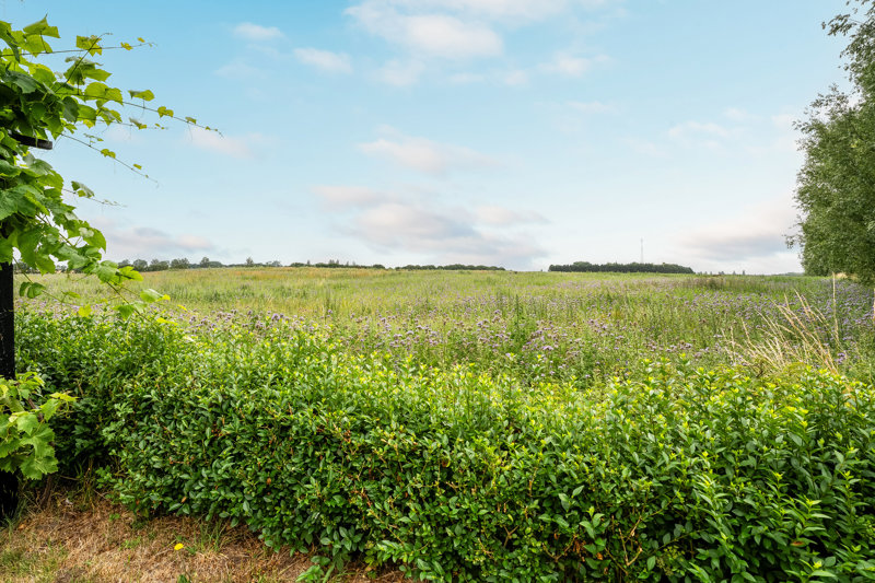 Property image number 2