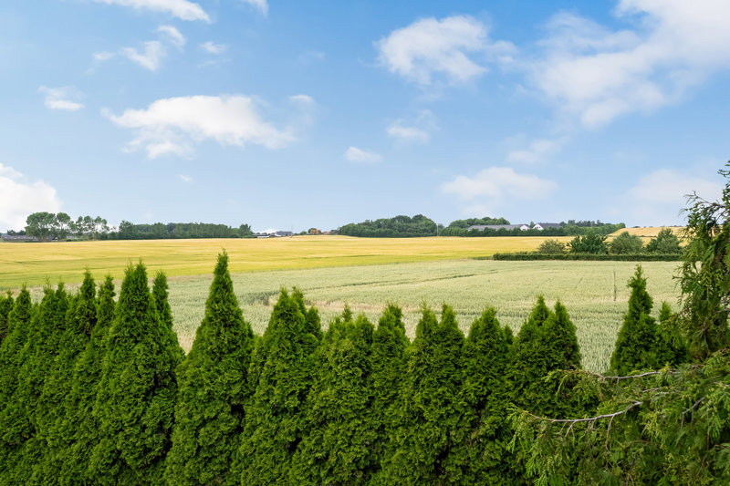 Property image number 2