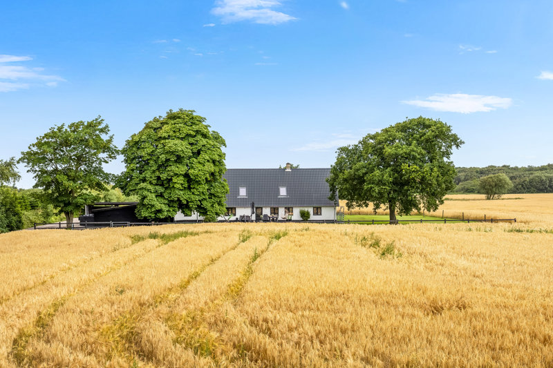Property image number 1
