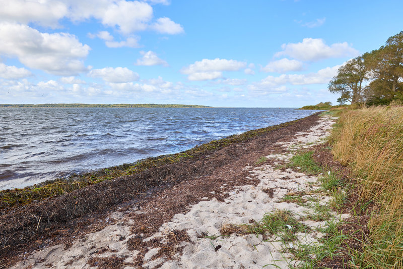 Property image number 5
