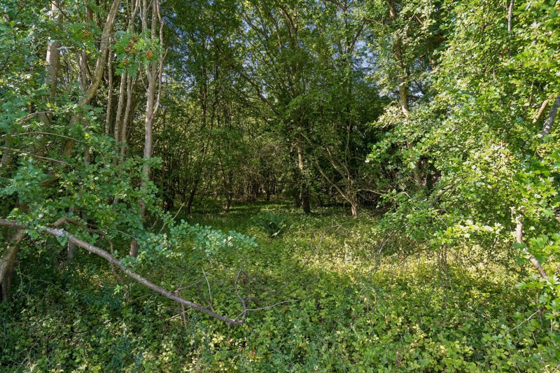 Property image number 6