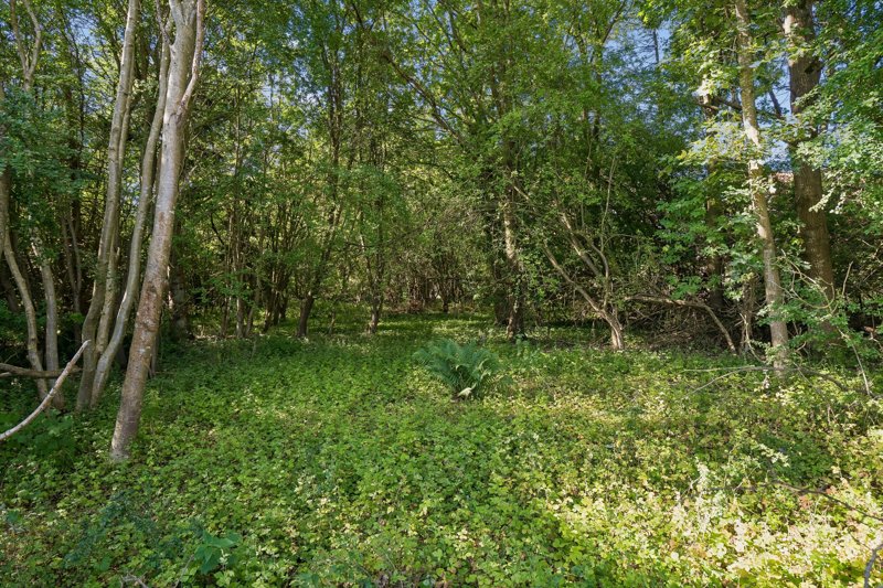 Property image number 7