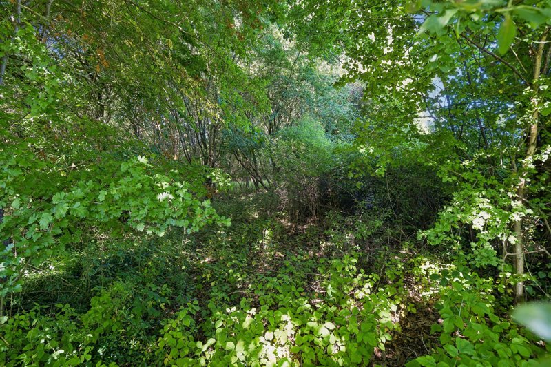 Property image number 8