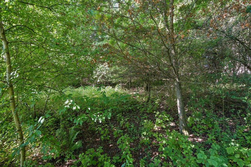Property image number 9