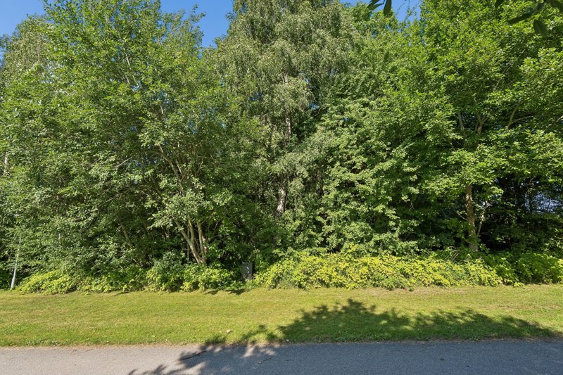 Property image number 10