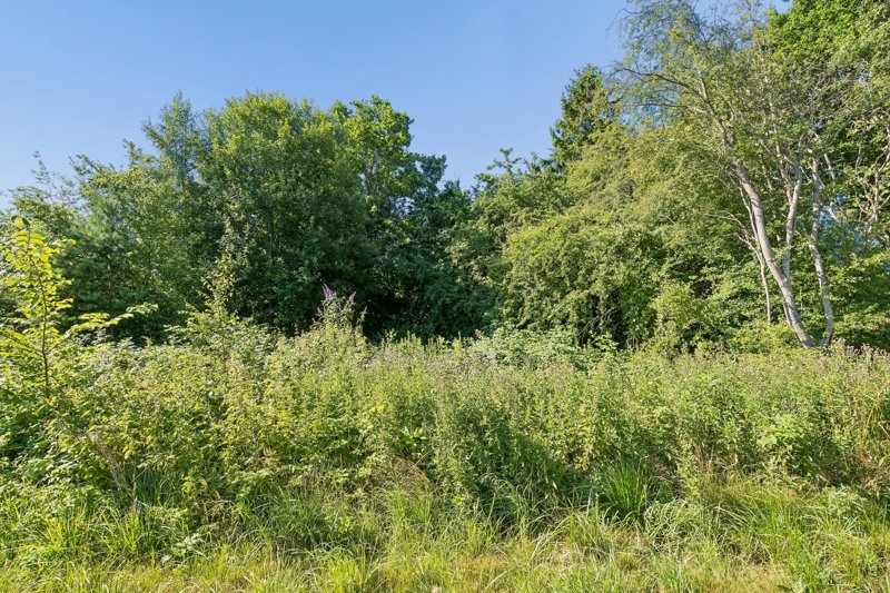Property image number 4