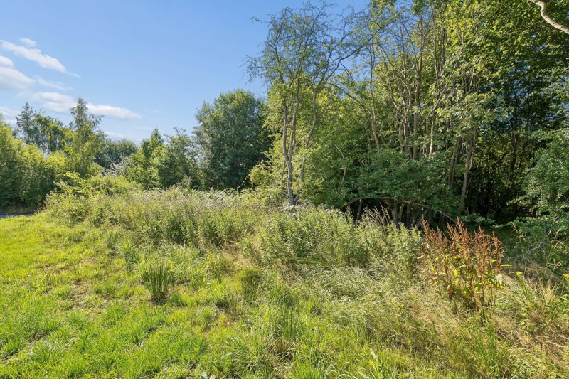 Property image number 5