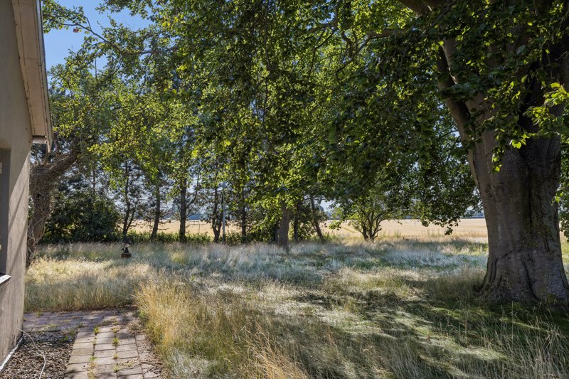 Property image number 3