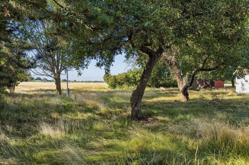 Property image number 4