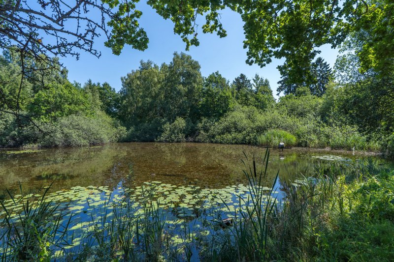 Property image number 3