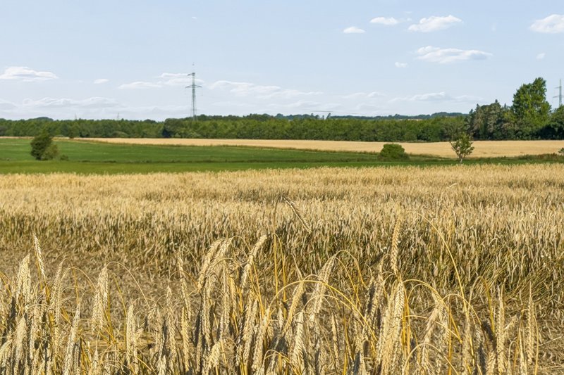 Property image number 4