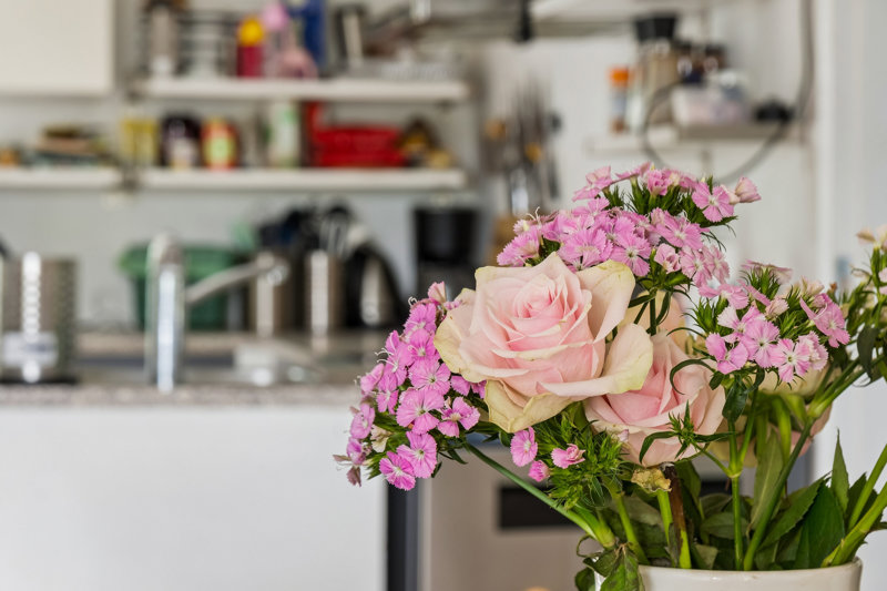 Property image number 8