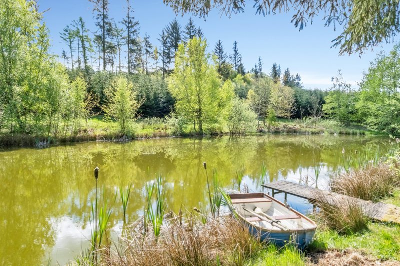 Property image number 5