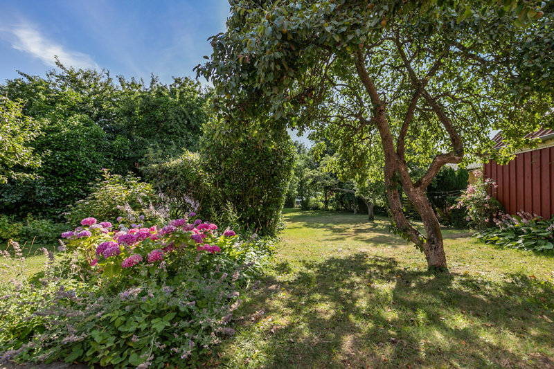Property image number 4