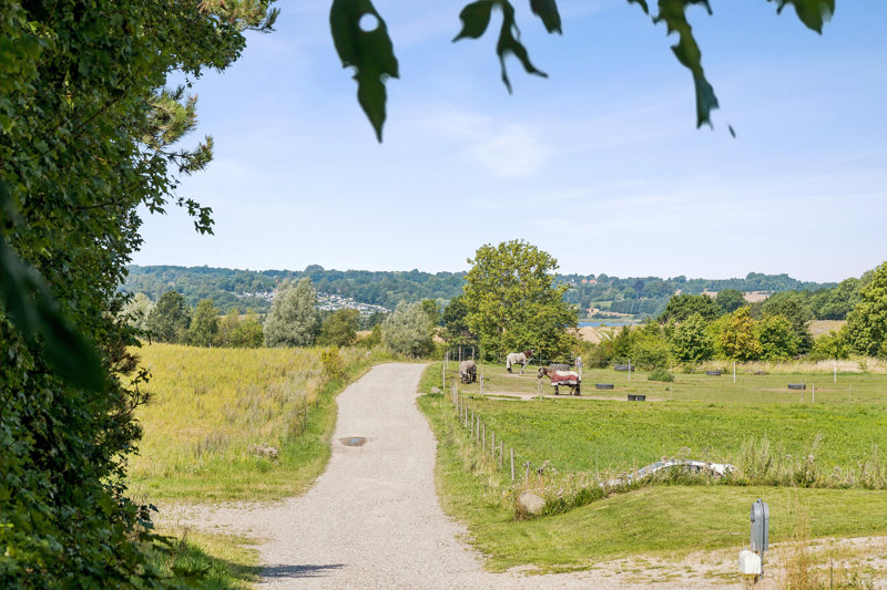 Property image number 6