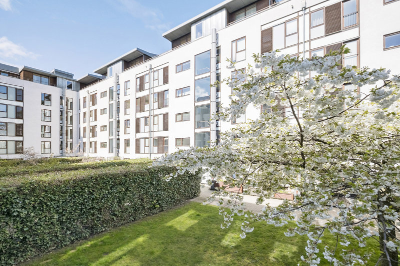 Property image number 5