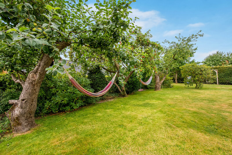 Property image number 3