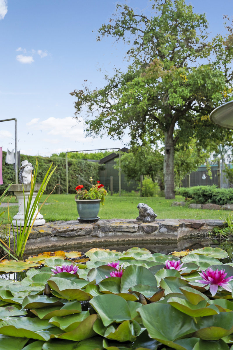 Property image number 4