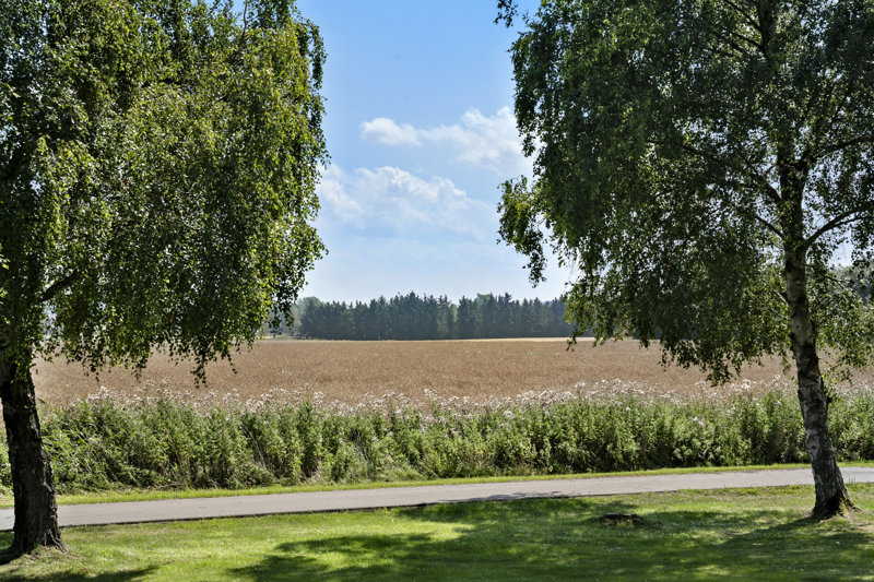 Property image number 2