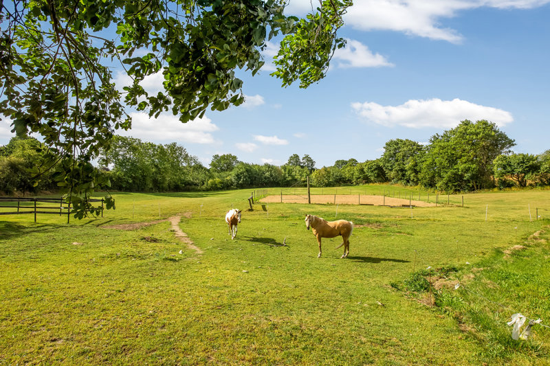 Property image number 4