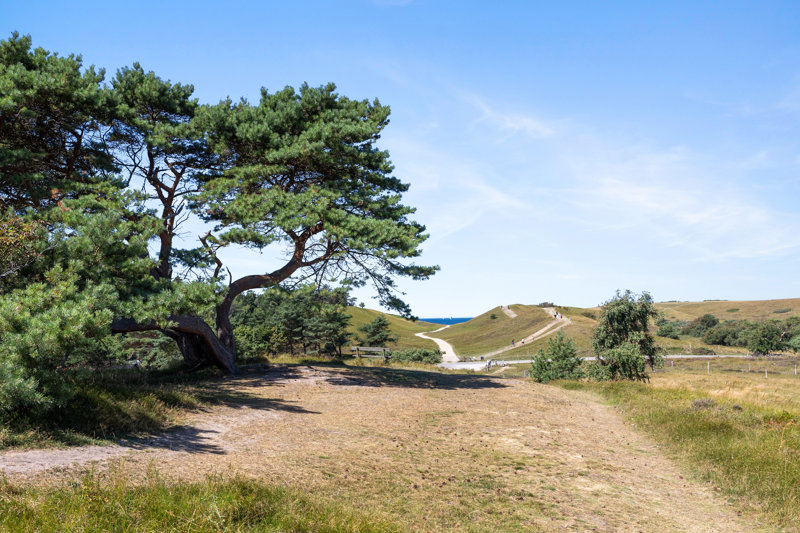 Property image number 2