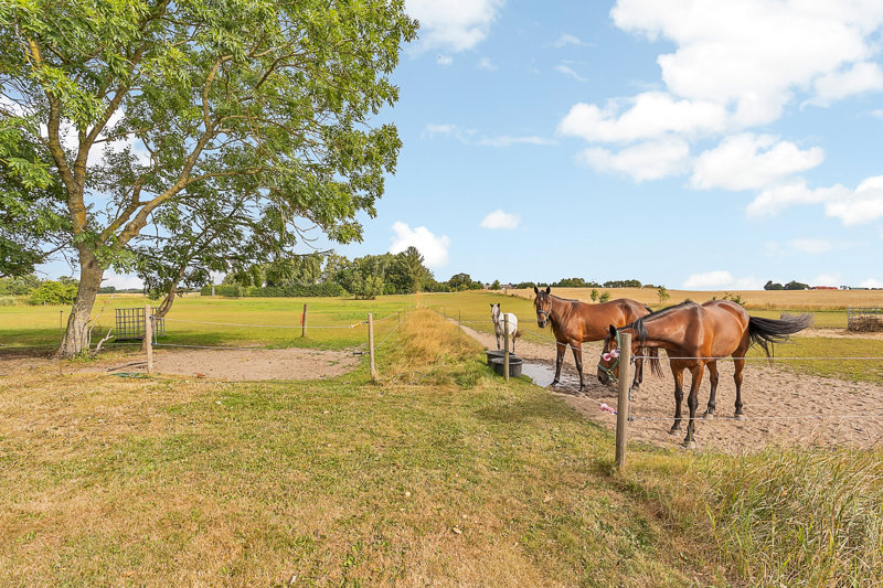 Property image number 2
