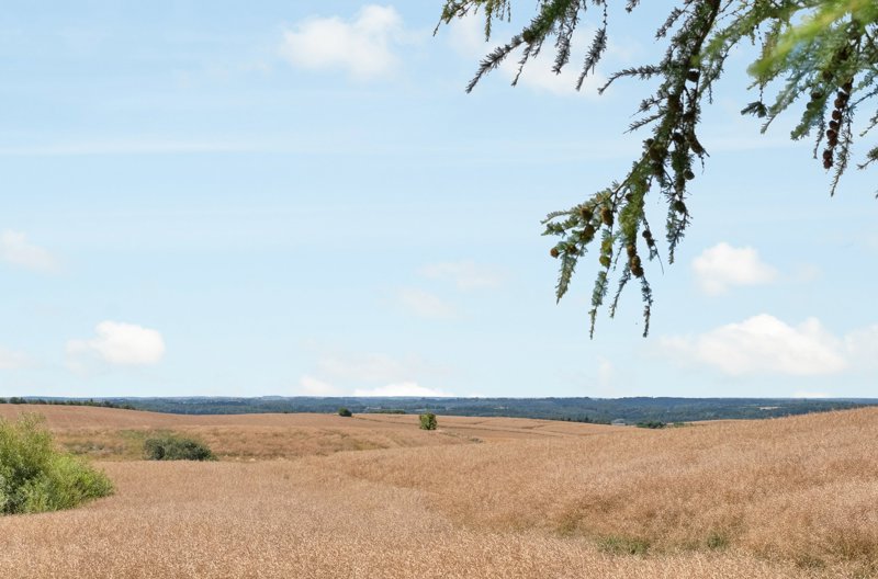 Property image number 1