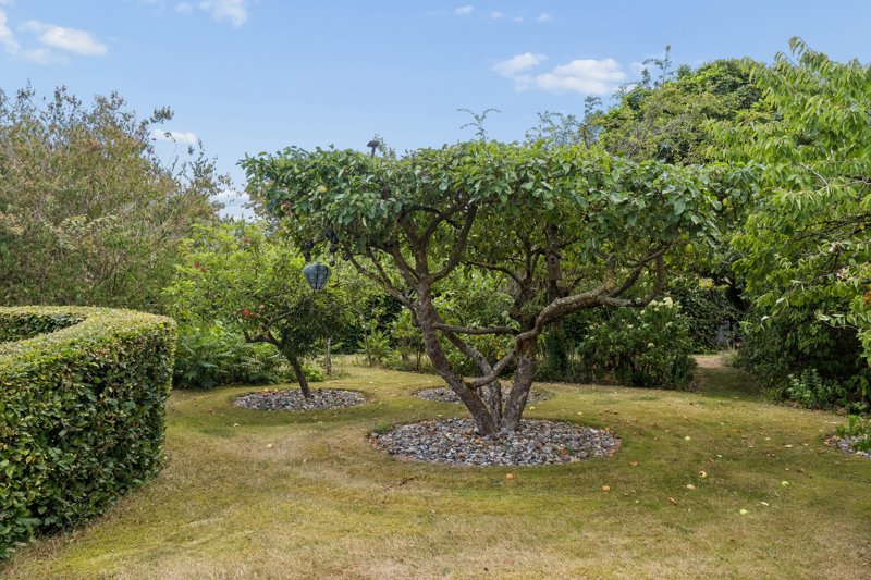Property image number 3